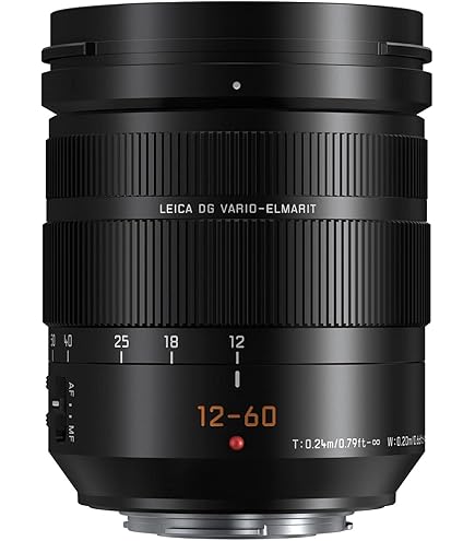 Panasonic Lumix G Leica DG Vario-Summilux 10-25mm, F1.7 ASPH. Lens